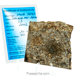 อุกกาบาต หิน  NWA 7864 Meteorite ชนิด L3 Chondrite แบบสไลซ์ใหญ่ พร้อมใบรับรอง จาก Germany #2 หนัก 44.1 กรัม