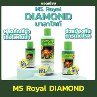 MS Royal DIAMOND มาลาไคท์ สูตรใหม่ ฆ่าเชื้อโรคในน้ำ ป้องกันและรักษา มี3ขนาดให้เลือก