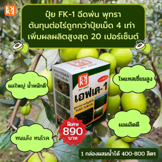 ปุ๋ย FK-1 ฉีดพ่น พุทรา ผลใหญ่  เพิ่มน้ำหนัก ผลผลิตดี ต้นทุนต่อไร่ถูกกว่าปุ๋ยเม็ด 4 เท่า เพิ่มผลผลิตสูงสุด 20 เปอร์เซ็นต์