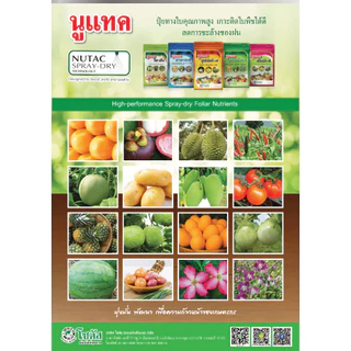 [1kg] นูแทค ซุปเปอร์-เอ็น ส่งเสริมการแตกยอด เพิ่มขนาดใบ ขยายขนาดผล- ขนาดบรรจุ 1 กิโลกรัม