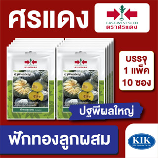 เมล็ดพันธุ์ ผักซอง ฟักทองปฐพีผลใหญ่ ตราศรแดง บรรจุแพ็คล่ะ 10 ซอง  ราคา 70 บาท