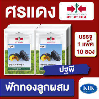 เมล็ดพันธุ์ ผักซอง ฟักทองปฐพี ตราศรแดง บรรจุแพ็คล่ะ 10 ซอง ราคา 70 บาท