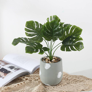 ต้นไม้ปลอม ต้นมอนสเตอร่า มอนสเตอร่า (monstera) สูง 65 ซม. พร้อมกระถาง ต้นไม้แต่งบ้าน [ พร้อมส่ง ]