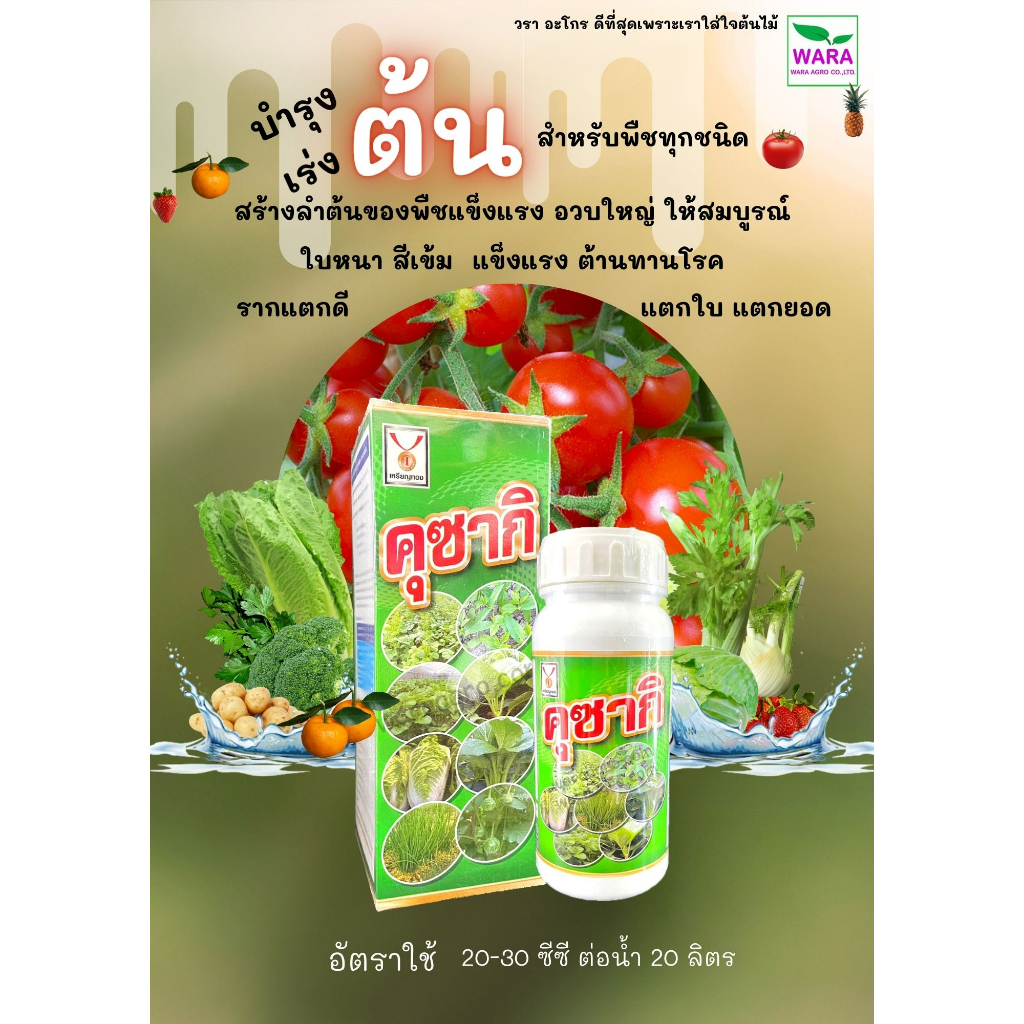 เร่งต้น เร่งโต ลำต้นใหญ่ ใบหนา ใบเขียว ลำต้นแข็งแรง โตทุกส่วนของพืช คุซากิ อาหารเสริมพืชเข้มข้น