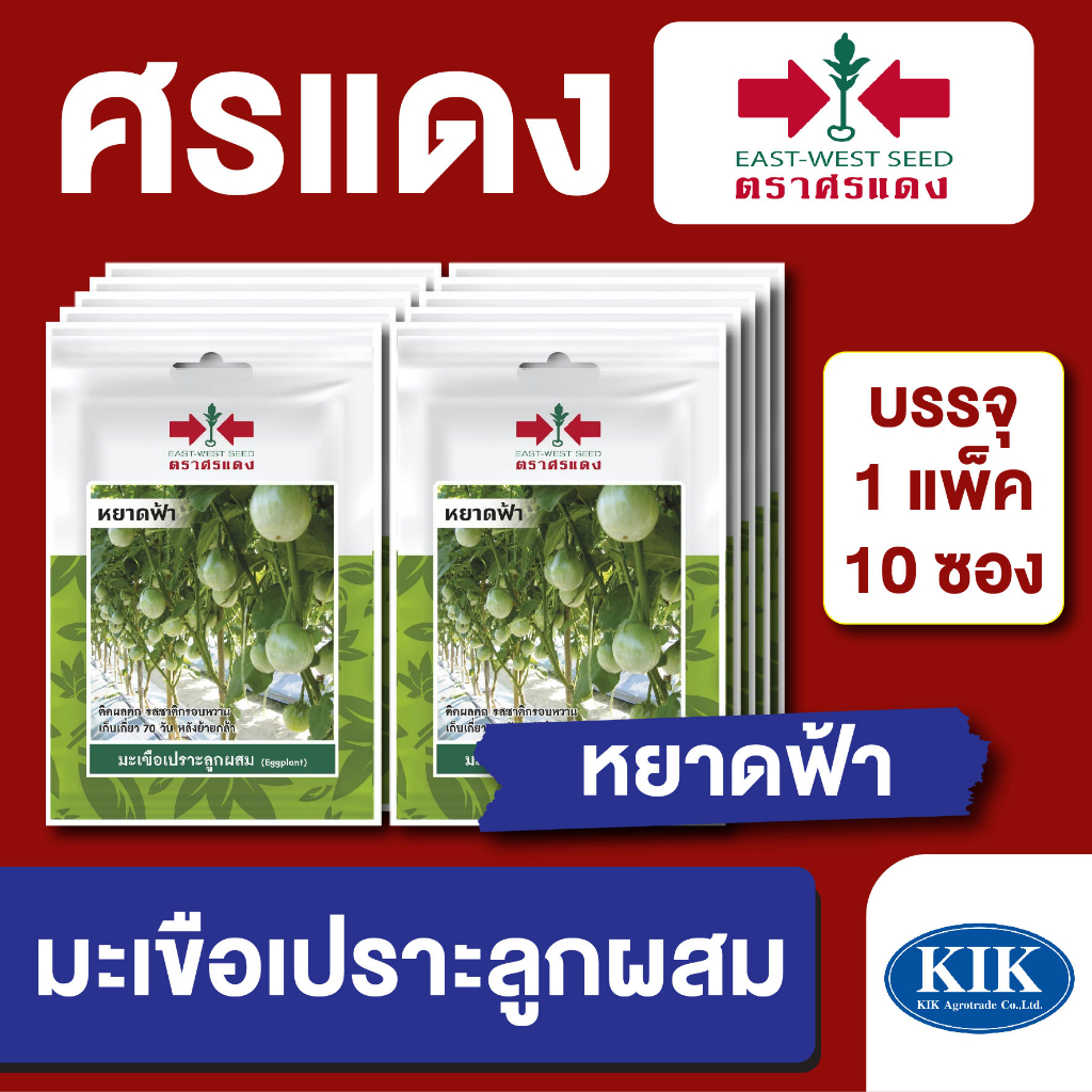 เมล็ดพันธุ์ ผักซอง มะเขือเปราะหยาดฟ้า ตราศรแดงVP3 บรรจุแพ็คล่ะ 10 ซอง ราคา 79 บาท