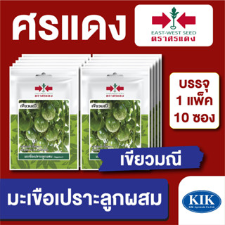 เมล็ดพันธุ์ ผักซอง มะเขือคางกบเขียวมณี ตราศรแดง บรรจุแพ็คล่ะ 10 ซอง ราคา 70 บาท