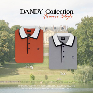 ✨POLOLAND สินค้ามาใหม่✨ เสื้อโปโลคู่รุ่น Dandy (แดนดี้) สไตล์ฝรั่งเศส ทรงตรง ทรงเข้ารูป ใส่แล้วดูดี เป็นคุณชายคุณหนูมาก