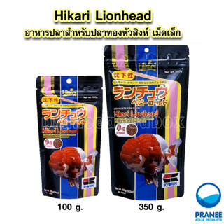 Hikari Lion head 100-350g. - อาหารปลาสำหรับปลาทองหัวสิงห์ สูตรเสริมสร้างสีสันและโครงสร้างปลาวุ้นที่สวยงาม (เม็ดเล็ก)