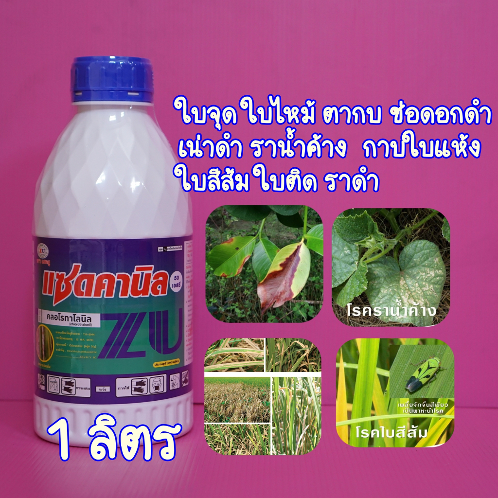 คลอโรทาโลนิล 1ลิตร แซดคานิล #ดาโคนิล ป้องกันโรคผลเน่าในทุเรียน ราสนิม ราน้ำค้าง โรคดอกจุดสนิมกล้วยไม้ ใบจุด ราดำ ตากบ