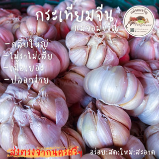 🔥ใหม่สด! 1 Kg.กระเทียมจีนหัวขาว คัดเกรดพรี่เมี่ยม การันตรีไม่มีเชื้อรา กลีบใหญ่ ปลอกง่าย เนื้อเยอะ คุณภาพตรงปก100%