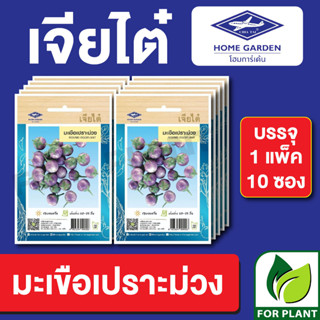 เมล็ดพันธุ์ ผักซอง มะเขือเปราะม่วง ตราเจียไต๋ บรรจุแพ็คล่ะ 10 ซอง ราคา 70 บาท