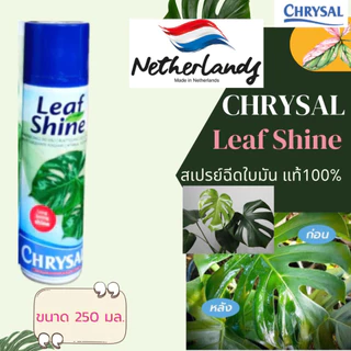 พร้อมส่ง ‼️สเปรย์ฉีดใบมัน คริสซอล (Chrysal Leaf Shine) สเปรย์ฉีดใบมัน สเปรย์ใบมันแท้100%