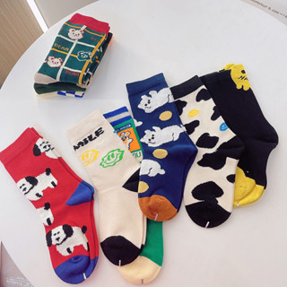 DB455 Socks Set เซ็ตถุงเท้าเด็ก 3 คู่ น่ารัก สดใส