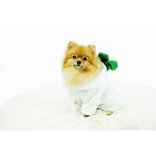 Pet clothes ชุดสัตว์เลี้ยง ชุดสุนัข ลายหัวไชเถ้า Size L น้ำหนักตัว 10-12 kg STP210617-7M