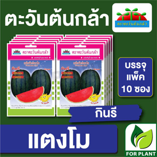 เมล็ดพันธุ์ ผักซอง แตงโม กินรี ตราตะวันต้นกล้า บรรจุแพคล่ะ 10 ซอง ราคา 64 บาท