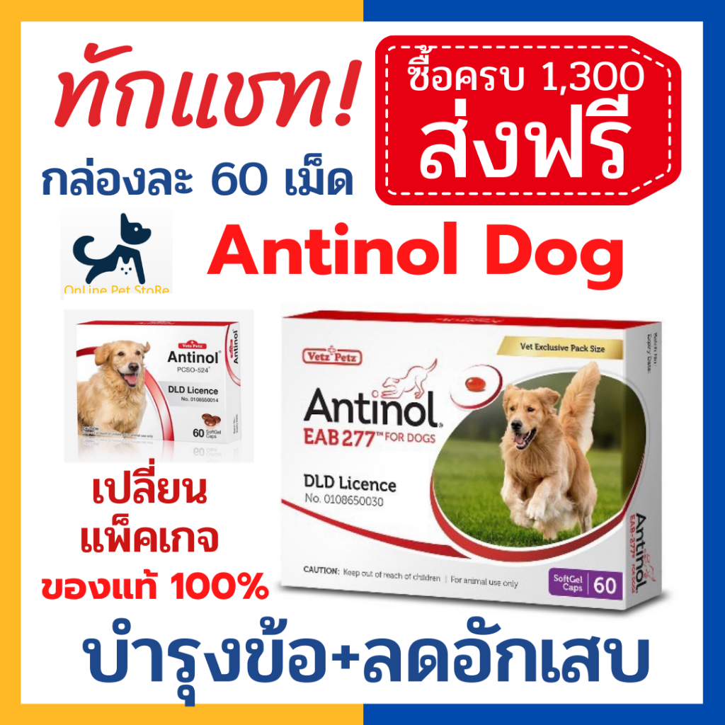 หมดอายุ 5/2025 +บำรุง ข้อ+ Antinol dog แอนทินอล สุนัข 60 เม็ด/กล่อง เลขทะเบียนอาหารสัตว์ 0108550014