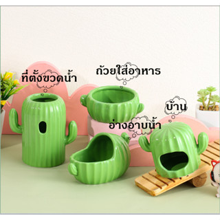 DOD บ้านเซรามิกแฮมเตอร์ เย็นสบาย สีสวย ของเล่นหนูแฮมเตอร์ ที่ตั้งขวดน้ำ สไตล์กระบองเพชร พร้อมส่ง