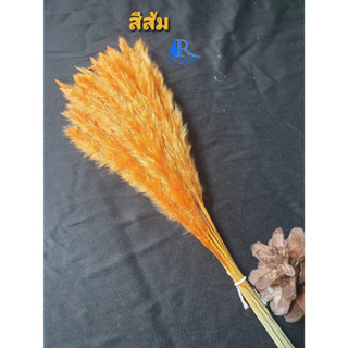 NEW ดอกหญ้าคา (สีส้ม) ( กำละ 40 )  ขนาด 45 cm. เป็นดอกไม้ธรรมชาติ ย้อมสี สีสันสดใส ใช้ประดับห้อง ร้าน งานแต่ง DIY