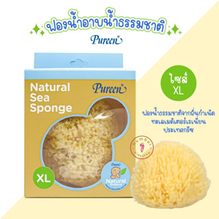 PUREEN (เพียวรีน) ฟองน้ำอาบน้ำธรรมชาติ เพียวรีน ใหญ่สุดของเพียวรีน ไซส์ XL