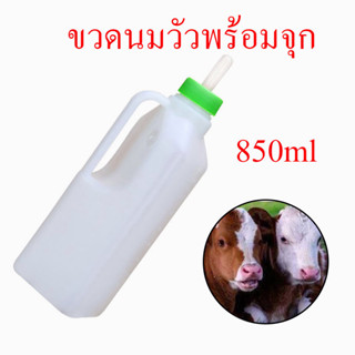 ขวดนมวัว ขวดนมแพะ ขวดนมแกะ ขวดนมหมู พร้อมจุก พร้อมด้ามจับ ขนาด 850ml ราคาส่ง