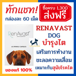 [60 เม็ด] หมด 3/25 +บำรุงไต+ RenAvast DOG สำหรับสุนัขโรคไต/สูงวัย อาหารเสริมบำรุงไต เสริมการทำงานและชะลอความเสื่อมของไต