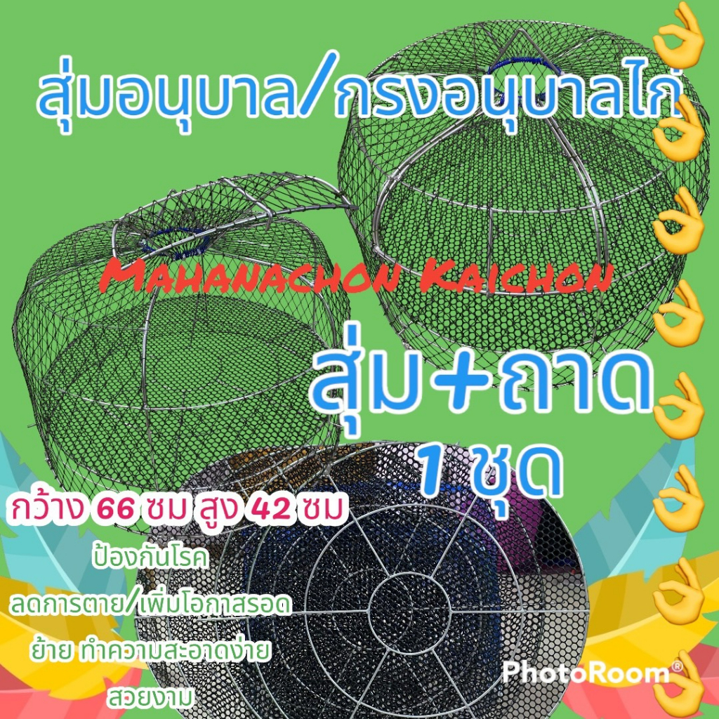 สุ่มอนุบาลไก่เล็ก ไก่แรกเกิด ขายยกแพ็ค(1ชุด ได้ สุ่ม 1ใบ ถาด 1ใบ) สุ่มพร้อมถาด ขนาด กว้าง 66 เซนติเม
