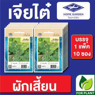 เมล็ดพันธุ์ ผักซอง ผักเสี้ยน ตราเจียไต๋ บรรจุแพ็คล่ะ 10 ซอง ราคา 70 บาท