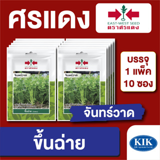 เมล็ดพันธุ์ ผักซอง คื่นฉ่ายจันทร์วาด ตราศรแดง บรรจุแพ็คล่ะ 10 ซอง ราคา 70 บาท