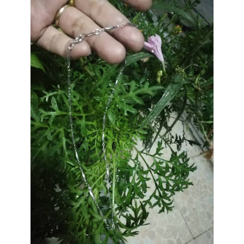 สร้อยคอเม็ดแตง ตอก ptf