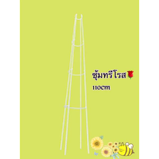 🌹ซุ้มทรีโรส🌹กุหลาบทรีโรส(T-Rose)ขนาด 70-90-100cm.มี2สี ขาว/ สีดำ