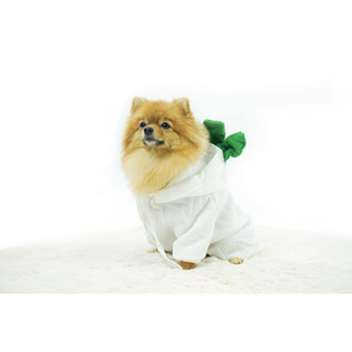 Pet clothes ชุดสัตว์เลี้ยง ชุดสุนัข ลายหัวไชเถ้า Size M น้ำหนักตัว 8-10 kg STP210617-7M