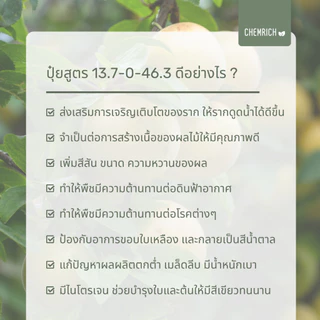 500G/1KG โพแทสเซียมไนเตรท ปุ๋ย 13-0-46 (โพแทสเซียมไนเตรต, ปุ๋ยโพแทสเซียม ไนเตรท) / Potassium nitrate (13-0-46) -Chemrich