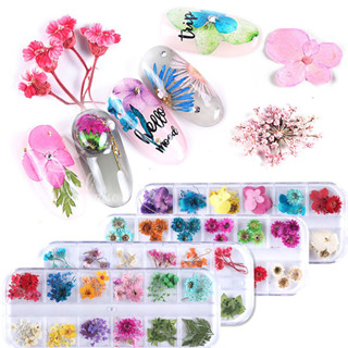 พร้อมส่งทุกวัน เซ็ตดอกไม้แห้ง สไตล์ญี่ปุ่น สำหรับตกแต่งเล็บ Dried Flowers Nail DIY มีให้เลือกหลายแบบ