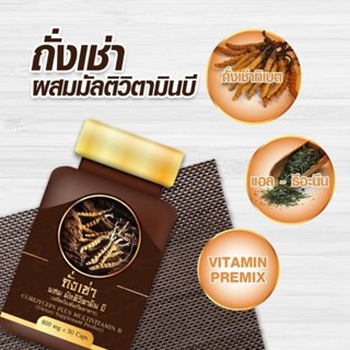 ผลิตภัณฑ์อาหารเสริม ถั่งเช่า มัลติ วิตามินบี ถั่งเช่ายิ่งยง Cordyceps Plus Multi Vitamin B  บรรจุ 30แคปซูล/กล่อง