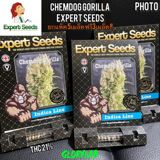 เมล็ดค่ายนอกแท้💯ExpertGorillaSeed Auto/photo‼️5ฟรี3‼️รับประกันของแท้ตรงปก ✅