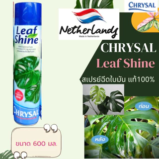 พร้อมส่ง ‼️สเปรย์ฉีดใบมัน คริสซอล (Chrysal Leaf Shine) สเปรย์ฉีดใบมัน สเปรย์ใบมันแท้100%