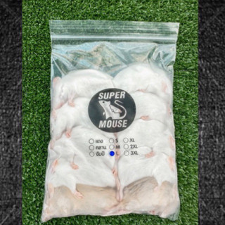 (ส่งด่วน) หนูไมค์แช่แข็ง Super Mouse (แพ็ค10ตัว)