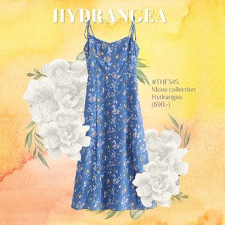 (preorder) #THF345 Mona Hydrangea