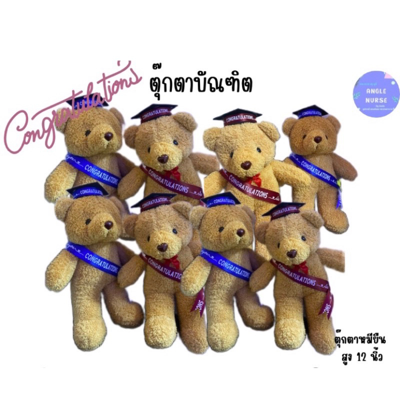 ตุ๊กตาบัณฑิต  มีสายสะพาย Congratulations พร้อมหมวก (หมียืน 12 นิ้ว)