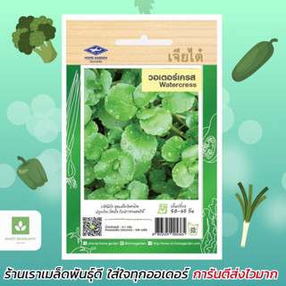 เมล็ดพันธุ์ วอเตอร์เครส แท้​ 500เมล็ด ผักสลัดน้ำ​ 100-200 เมล็ด​ watercress สลัดน้ำ