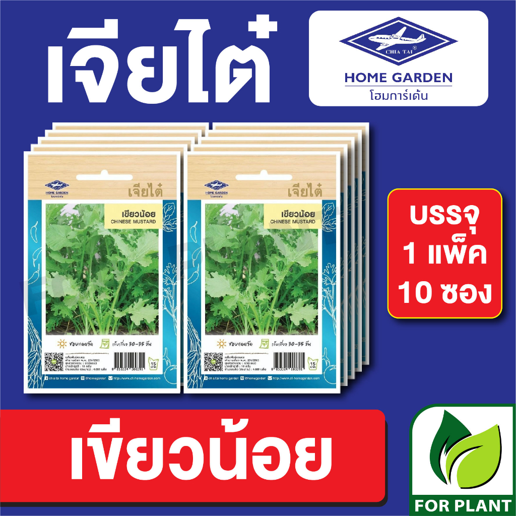 เมล็ดพันธุ์ ผักซอง เขียวน้อย ตราเจียไต๋ CT15 บรรจุแพ็คล่ะ 10 ซอง ราคา 80 บาท
