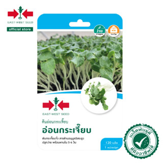 ศรแดง เมล็ดพันธุ์ต้นอ่อนกระเจี๊ยบ อ่อนกระเจี๊ยบ (East-West Seed) เมล็ดพันธุ์ ผักสวนครัว ตราศรแดง