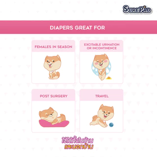 SurePad Pet Diapers ผ้าอ้อมสุนัข ฝึกขับถ่าย สำหรับสุนัขเพศเมีย ใส่สบายสวมง่ายทุกสายพันธุ์ มี 5 ไซส์