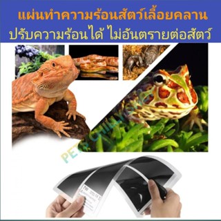 แผ่นความร้อนสำหรับสัตว์เลื้อยคลาน Heat mat