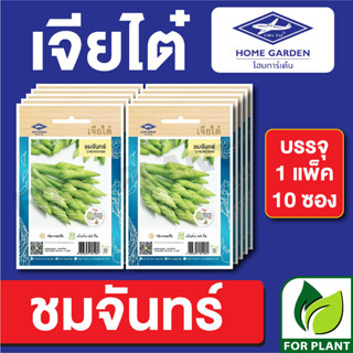 เมล็ดพันธุ์ ผักซอง ชมจันทร์ ตราเจียไต๋ บรรจุแพ็คล่ะ 10 ซอง ราคา 70 บาท