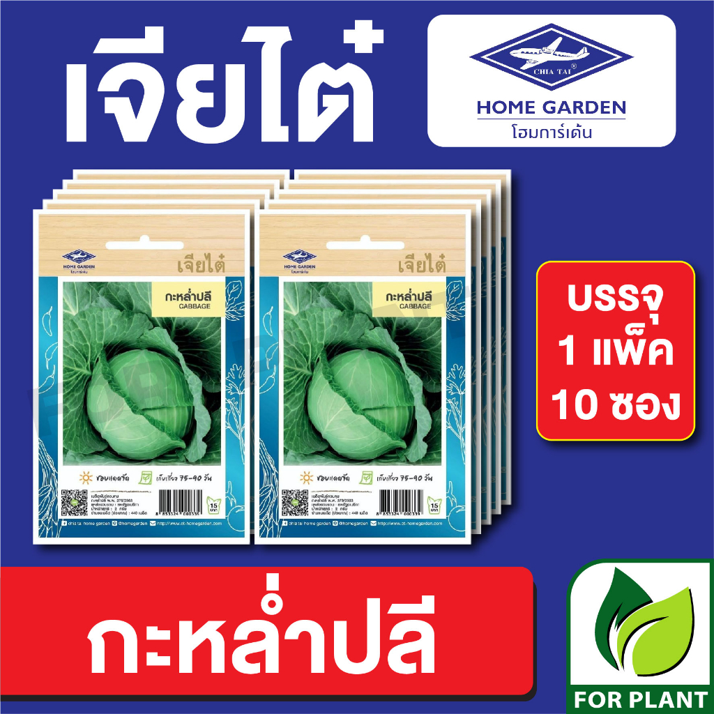 เมล็ดพันธุ์ ผักซอง กะหล่ำปลี ตราเจียไต๋ CT15 บรรจุแพ็คล่ะ 10 ซอง ราคา 75 บาท