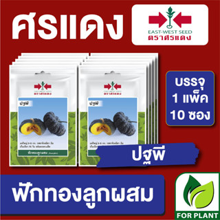 เมล็ดพันธุ์ ผักซอง ฟักทองปฐพี ตราศรแดง บรรจุแพ็คล่ะ 10 ซอง ราคา 70 บาท