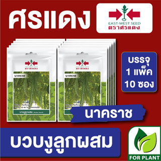 เมล็ดพันธุ์ ผักซอง บวบงูนาคราช ตราศรแดง บรรจุแพ็คล่ะ 10 ซอง ราคา 70 บาท