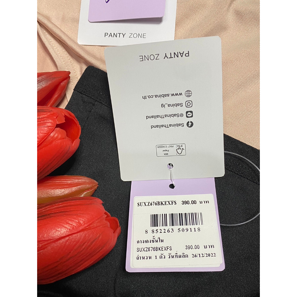 sabina กางเกงชั้นใน พลัสไซต์ สาวอวบ สพ40-47นิ้วรหัส SUX676 - รูปที่ 6