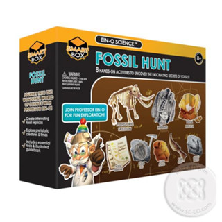 หนังสือ Fossil Hunt ขุดตัวอย่างฟอลซิล